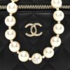 Túi Chanel quai ngọc da cừu màu đen chính hãng TCN17 2026 Túi Chanel quai ngọc da cừu màu đen chính hãng TCN17 2026