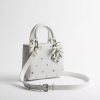 Túi Xách Dioramour Small Lady Dior Bag with Strap White Lambskin Printed with Multicolor Revolution Flowers Motif JTT126 2026